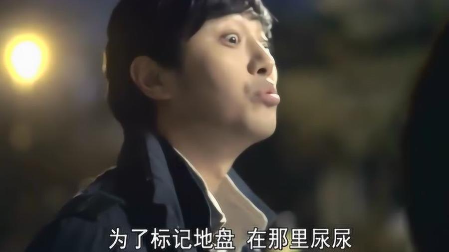 张某夫妇,刑拘!专坑“不利索”老人…