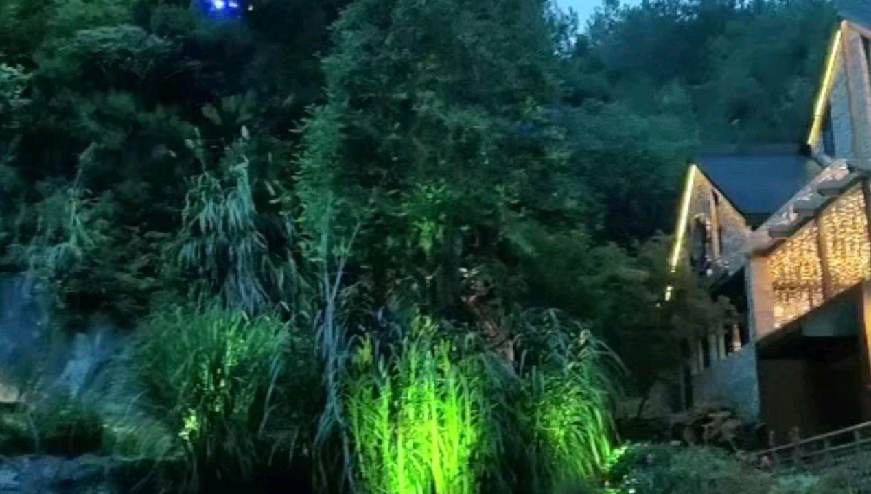 九张羊皮纸
